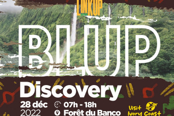 BABILINKUP : BLUP DISCOVERY