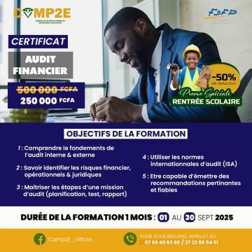 FORMATION AUDIT FINANCIER